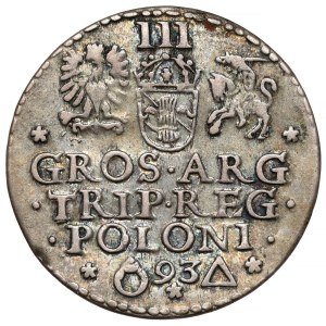 Sigismund III Vasa, Troyak Malbork 1593