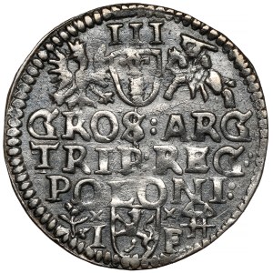 Sigismund III Vasa, Trojak Wschowa 1595