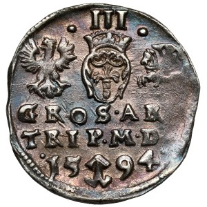 Žigmund III Vasa, Trojka Vilnius 1594 - gule