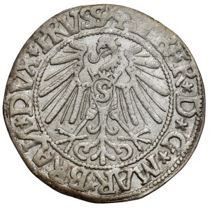 Prusy, Albrecht Hohenzollern, Grosz Królewiec 1544
