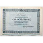 Spółka Akc. dla Przemysłu Naftowego GAZY ZIEMNE , 10x 100 zlotys 1931