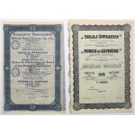 Tow. Sosnowieckie Fabryk Rur i Żelaz [Sosnowiec Pipe and Iron Works and Power and Light], 100 zl 1935 - set (2pcs)