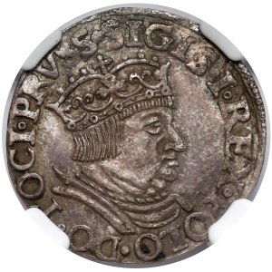 Zygmunt I Stary, Trojak Gdańsk 1536 - DANNCZK