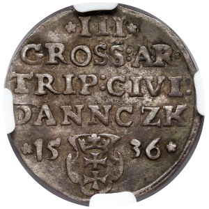 Zygmunt I Stary, Trojak Gdańsk 1536 - DANNCZK