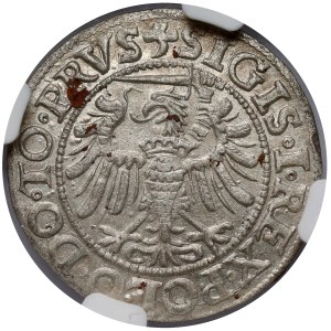Sigismund I the Old, Penny Elblag 1539 - to the left