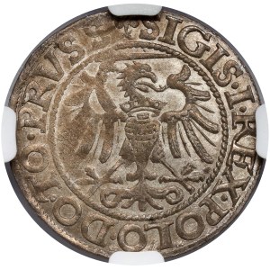 Sigismund I the Old, Penny Elblag 1540