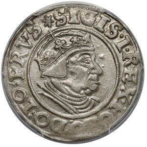 Žigmund I. Starý, Grosz Gdańsk 1539 - kruhy
