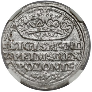 Žigmund I. Starý, Grosz Krakov 1529