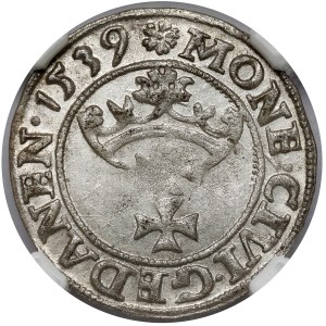 Sigismund I the Old, Shelrog Gdansk 1539 - rosette