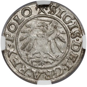 Sigismund I the Old, Shelrog Gdansk 1539 - rosette
