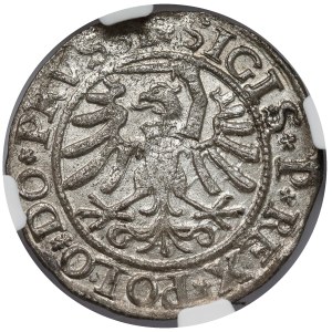 Sigismund I the Old, Elblag 1533 - beautiful