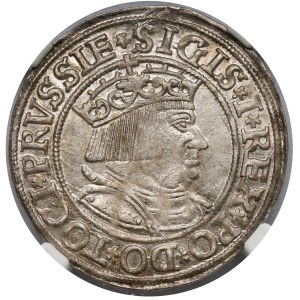 Zygmunt I Stary, Grosz Toruń 1534 - piękny