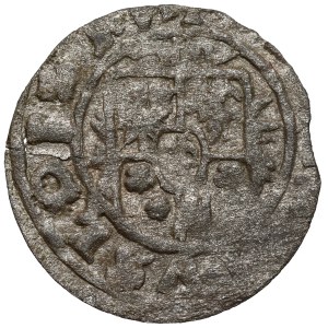 Sigismund III Vasa, Trzeciak Lobżenica 1630 - date 3-0 / reversed N