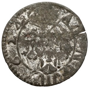 Sigismund III Vasa, Trzeciak Lobżenica 1624 - mark III