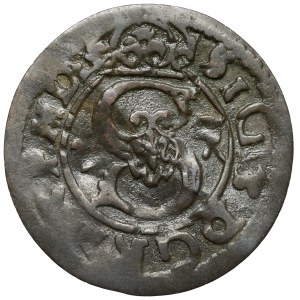 Sigismund III Vasa, Trzeciak Lobżenica 1623? (1625)