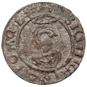 Sigismund III Vasa, Trzeciak Lobżenica 1630 - date 30 / reversed D