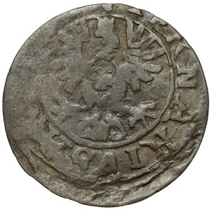 Sigismund III Vasa, Trzeciak Lobżenica 1626 / 1627 - Eagle