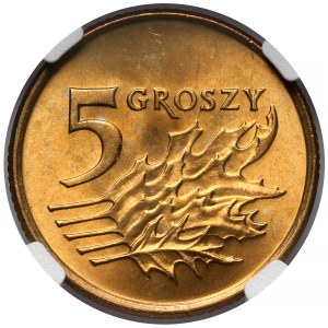 5 pennies 1991