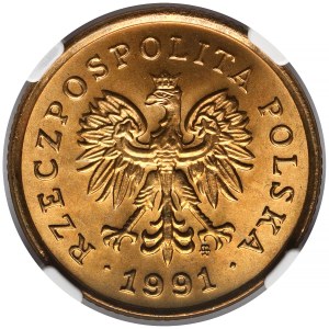 5 pennies 1991