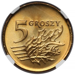 5 pennies 1992