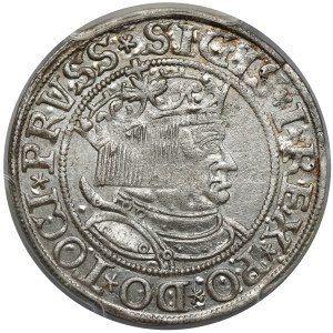 Sigismund I the Old, Penny of Toruń 1533