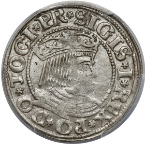 Sigismund I the Old, Gdańsk penny 1533 - very rare variant