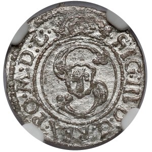 Zygmunt III Waza, Szeląg Wilno 1624