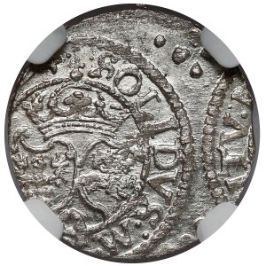 Zygmunt III Waza, Szeląg Wilno 1624