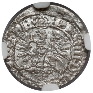 Sigismund III Vasa, Vilnius Shelter 1623 - BEAUTIFUL