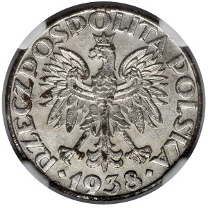 50 pennies 1938 - nickel-plated