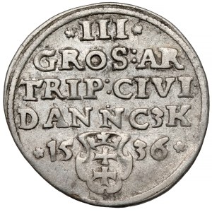 Sigismund I the Old, Trojak Gdansk 1536 - PRVSSI