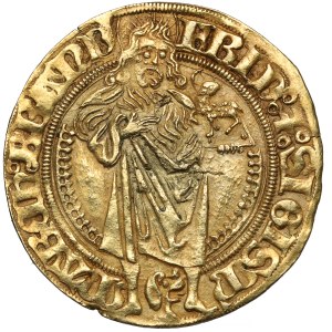 Brandenburg-Franconia, Friedrich and Sigismund (1486-1495) Goldgulden without date