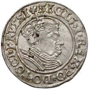 Sigismund I the Old, Torun 1535 penny - PRVSSI
