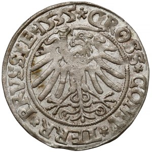 Sigismund I the Old, Torun 1535 penny - PRVSSI