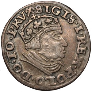 Sigismund I the Old, Trojak Gdansk 1540 - a rarer portrait
