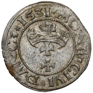 Sigismund I the Old, Shelag Gdansk 1531