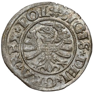 Sigismund I the Old, Shelag Gdansk 1531