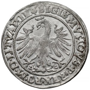 Sigismund I the Old, Vilnius 1535 penny - undescribed