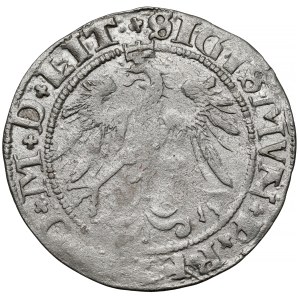 Sigismund I the Old, Vilnius penny 1536 - letter I - crosses