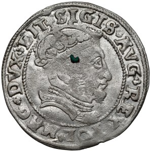 Sigismund II. Augustus, litauischer Fußpfennig 1546, Vilnius