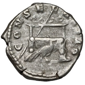 Faustina II the Younger (161-175 AD) Posthumous denarius, Rome