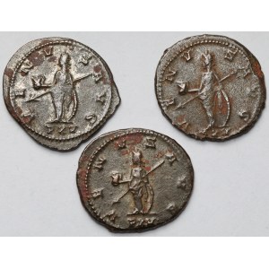 Salonina (253-268 AD) Antoninians - set (3pcs)