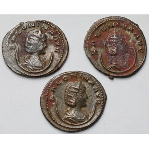 Salonina (253-268 n.e.) Antoniniany - zestaw (3szt)