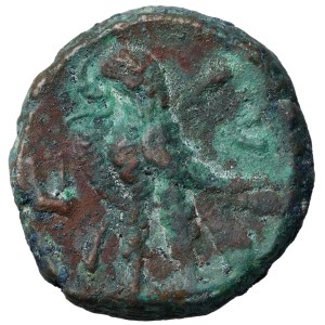 Salonina (253-268 n.e.) Aleksandria, Tetradrachma
