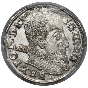 Sigismund III. Vasa, Troika Vilnius 1597 - Lidman
