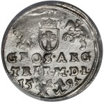 Sigismund III. Vasa, Troika Vilnius 1597 - Lidman