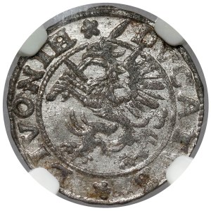 Inflants, Dahlen Shelf 1572