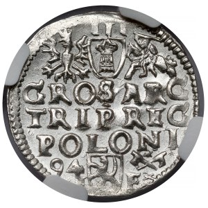 Sigismund III Vasa, Trojak Poznań 1594