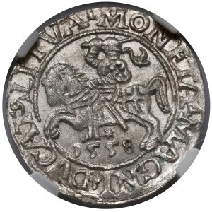Zygmunt II August, Półgrosz Wilno 1558 - L/LITVA