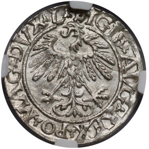 Zygmunt II August, Półgrosz Wilno 1558 - L/LITVA